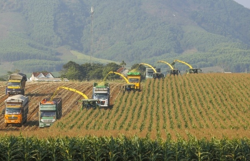 Thiếu “đầu tàu” dẫn dắt doanh nghiệp nông nghiệp ứng dụng công nghệ cao