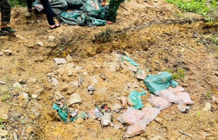 Hải quan Chi Ma bắt giữ gần 1 tấn chân lợn đông lạnh