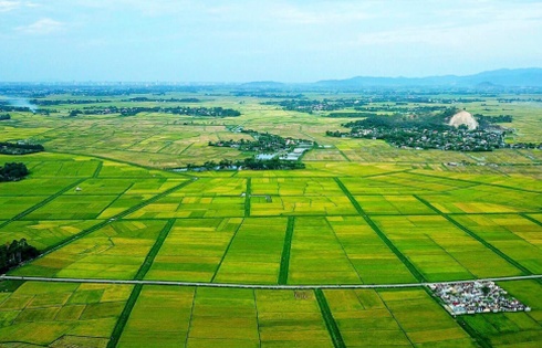 Luật chờ Nghị định...