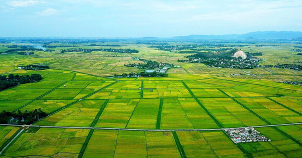 Luật chờ Nghị định...