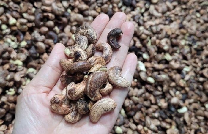 Cần “cởi trói” cho điều châu Phi được tiêu thụ nội địa