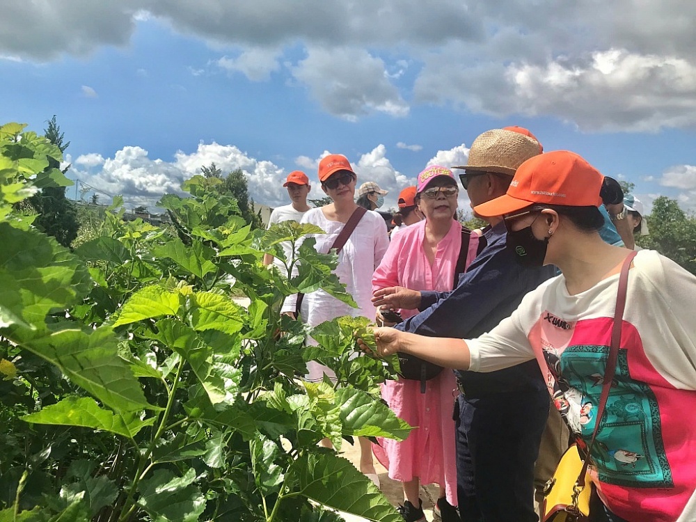 Khách du lịch có xu hướng tìm kiếm các tour du lịch xanh nhiều hơn trong thời gian gần đây.  Ảnh: Minh Mẫn