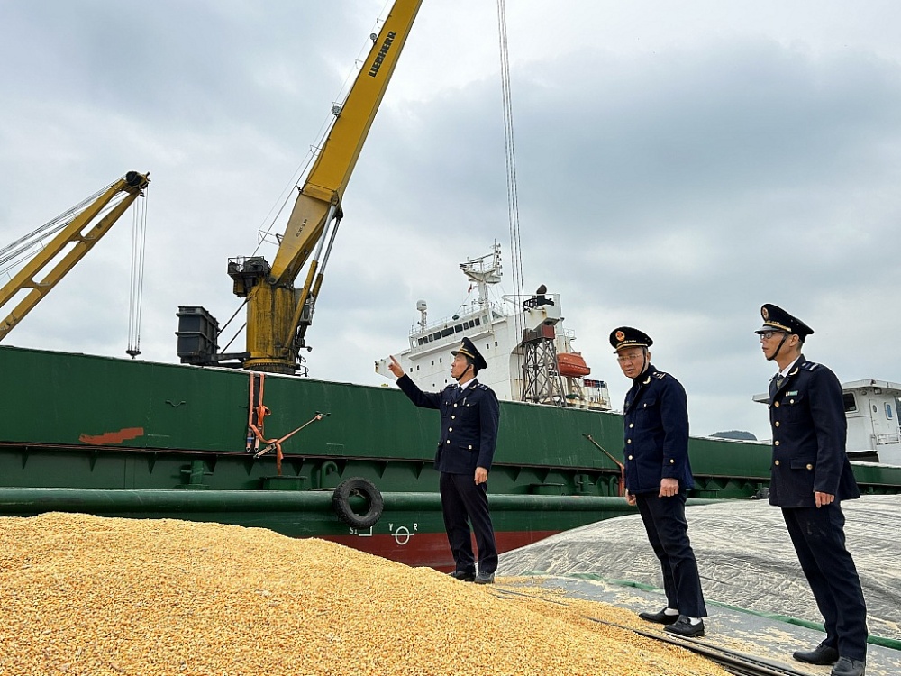 Công chức Chi cục Hải quan cửa khẩu cảng Cẩm Phả, Cục Hải quan Quảng Ninh giám sát hàng hóa XNK. Công chức Chi cục Hải quan cửa khẩu cảng Cẩm Phả, Cục Hải quan Quảng Ninh giám sát hàng hóa XNK.