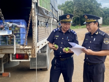 Hải quan Tây Ninh sớm hoàn thành chỉ tiêu thu ngân sách