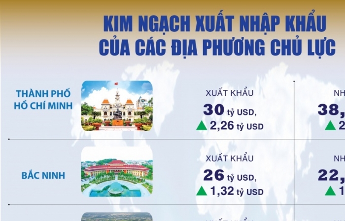 (INFOGRAPHICS) 8 tỉnh, thành xuất khẩu chục tỷ đô