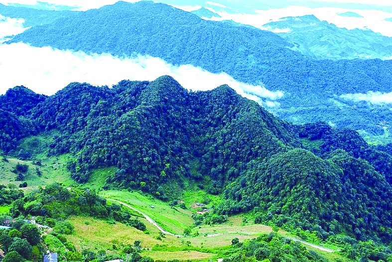 Việc phát triển thị trường tín chỉ carbon rừng hiện nay còn gặp nhiều khó khăn do khuôn khổ pháp lý và cơ chế, chính sách còn thiếu hoặc chưa quy định cụ thể. Ảnh minh họa: ST