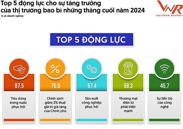 Thị trường bao bì Việt Nam: Áp lực từ xu hướng xanh hóa