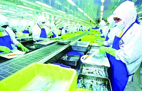Triển vọng xuất khẩu tôm thời điểm cuối năm