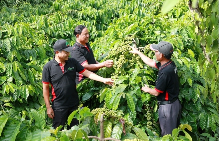 Điều kiện cần để vận hành doanh nghiệp kinh doanh "vị tự nhiên"