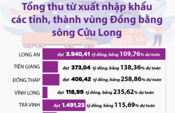 (Infographics) Tổng thu từ xuất nhập khẩu các tỉnh, thành vùng Đồng bằng sông Cửu Long