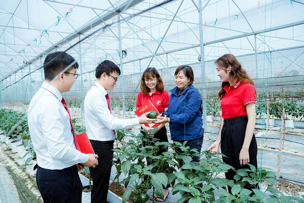 Gói vay ưu đãi về “Tín dụng xanh” khuyến khích khách hàng đâu tư vào phát triển nông nghiệp công nghệ cao.