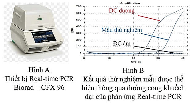 QUATEST 3 ứng dụng phương pháp phát hiện DNA động vật trong thực phẩm và thức ăn chăn nuôi