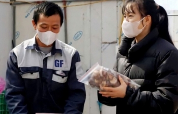 "Nấm hương Mẫu Sơn" xuất ngoại
