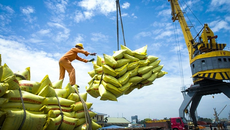 Thu hồi 10 giấy chứng nhận đủ điều kiện kinh doanh xuất khẩu gạo