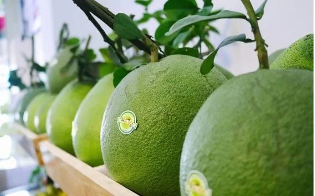 Bưởi Việt Nam đủ điều kiện an toàn sinh học để xuất khẩu vào Australia