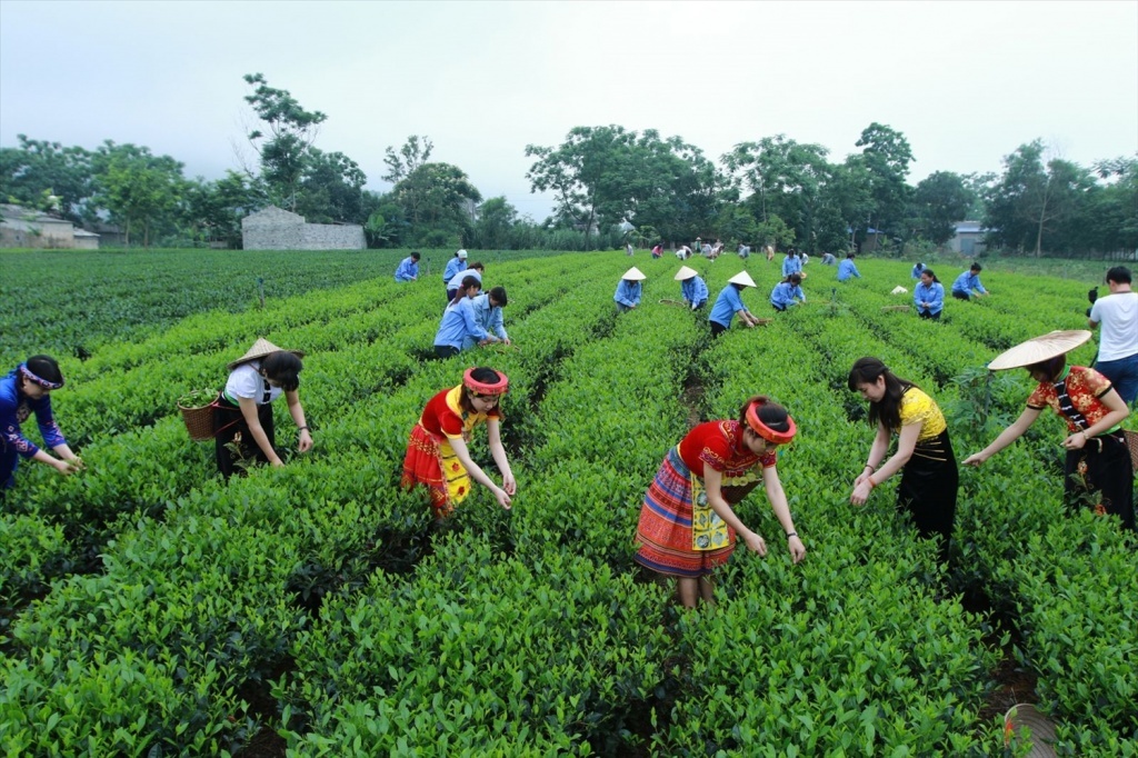 Thúc đẩy thương mại điện tử vùng Trung du và miền núi phía Bắc