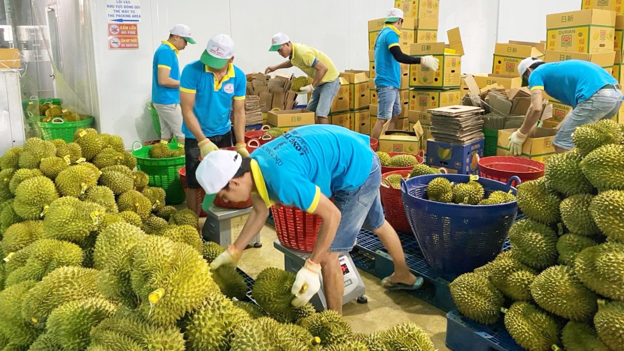 Tích cực thực hiện đàm phán mở cửa các thị trường cho sản phẩm sầu riêng