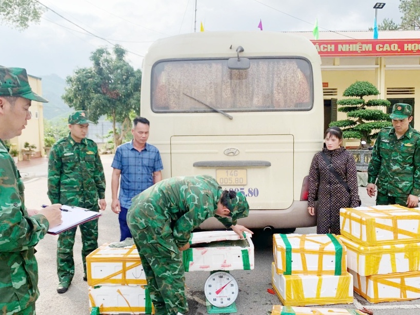 Bắt giữ vụ vận chuyển gần 200kg tôm hùm đất trái phép