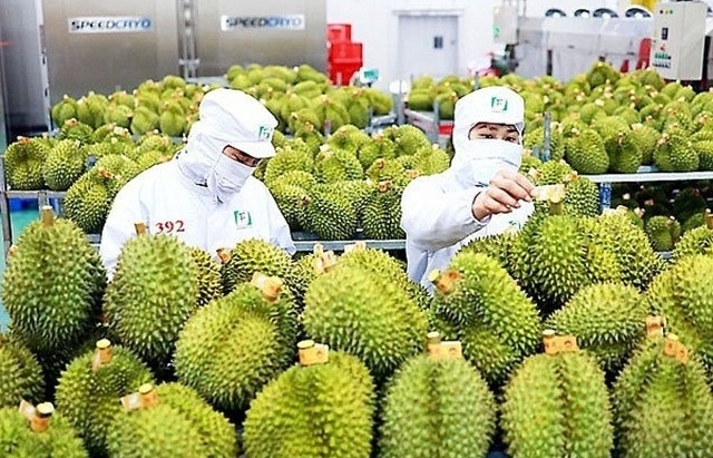 Ưu tiên thực hiện thông quan ngay đối với hàng hóa xuất khẩu là nông lâm thủy sản