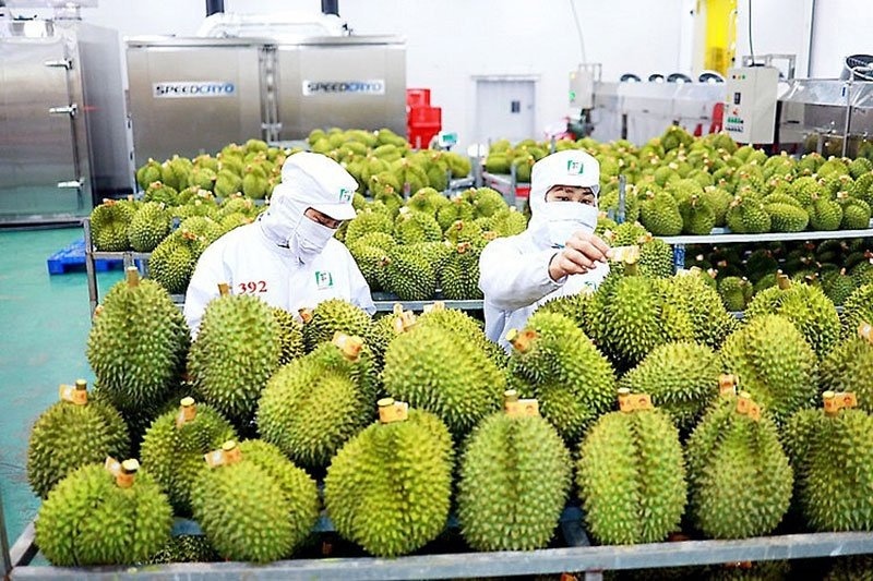 undefined Ưu tiên thực hiện thông quan ngay đối với hàng hóa xuất khẩu là nông lâm thủy sản