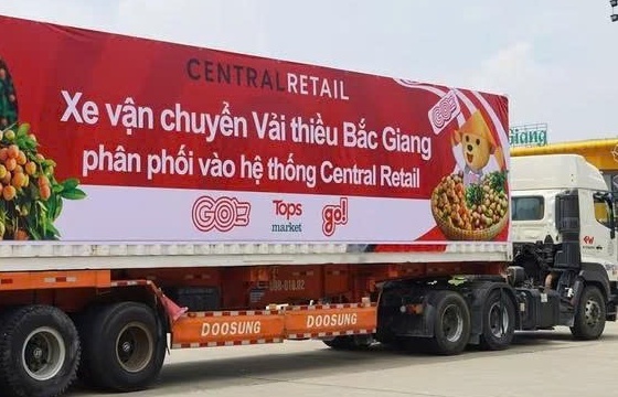 Central Retail tăng gấp đôi lượng tiêu thụ vải thiều Bắc Giang trong mùa vụ 2025