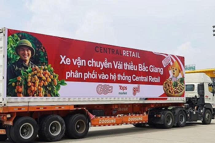 Central Retail tăng gấp đôi lượng tiêu thụ vải thiều Bắc Giang trong mùa vụ 2025