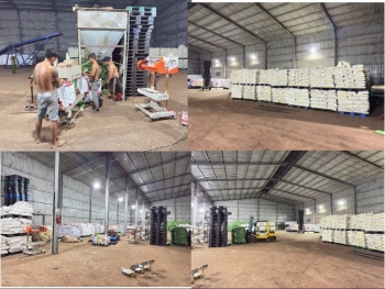 Bắt tạm giam giám đốc doanh nghiệp sản xuất gần 300 tấn phân bón giả