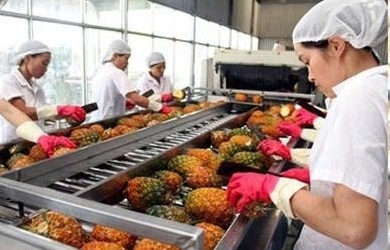 Thủ tướng yêu cầu triển khai đồng bộ các giải pháp tiêu thụ, xuất khẩu nông sản