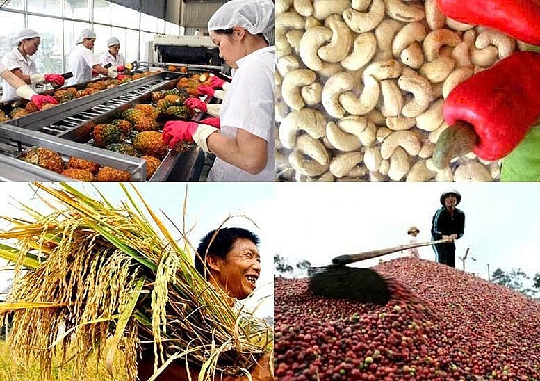 Thủ tướng yêu cầu triển khai đồng bộ các giải pháp tiêu thụ, xuất khẩu nông sản