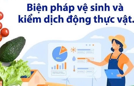 Hợp tác SPS thực chất: cơ hội mới cho nông sản Việt vào Mỹ