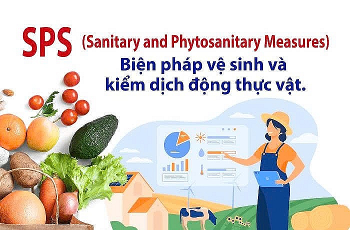 Hợp tác SPS thực chất: cơ hội mới cho nông sản Việt vào Mỹ