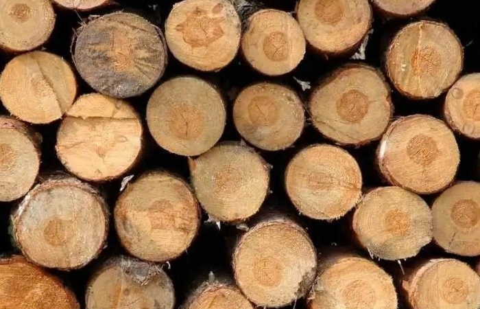 5 tháng đầu năm: Gỗ Việt khởi sắc trở lại