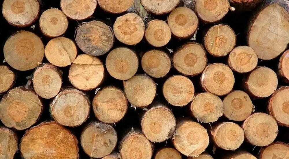 5 tháng đầu năm: Gỗ Việt khởi sắc trở lại