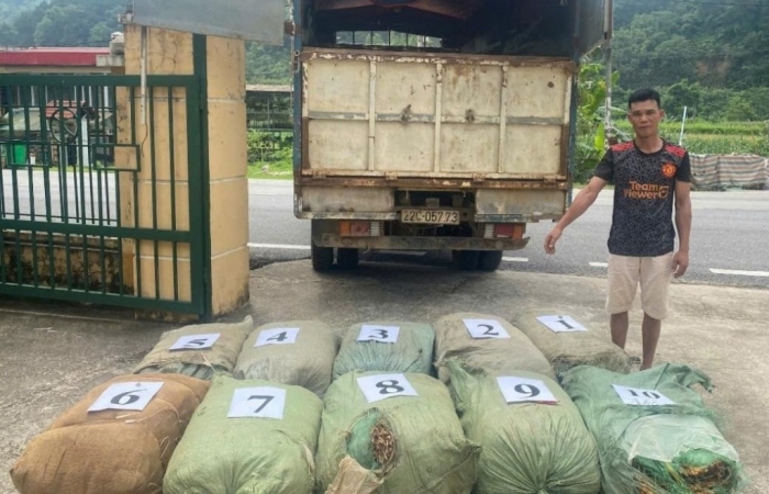 Liên tiếp phát hiện, thu giữ hàng tấn nguyên liệu thuốc lá không rõ nguồn gốc