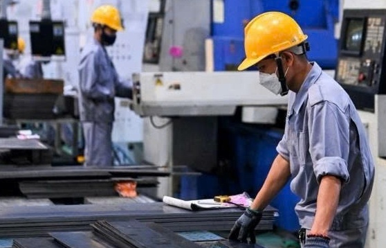 Doanh nghiệp thành lập mới và quay trở tăng 11,3%