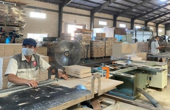 Ngành gỗ Việt Nam: tìm hướng đi mới để tồn tại