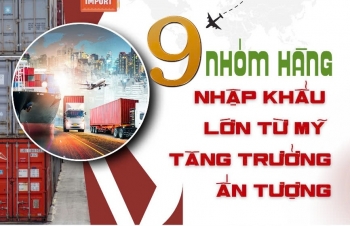 (INFOGRAPHICS): 9 nhóm hàng lớn nhập khẩu từ Mỹ tăng trưởng ấn tượng