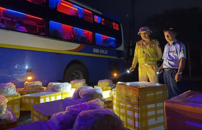 Hà Tĩnh: Bắt giữ 240 kg chả mực đông lạnh không rõ nguồn gốc xuất xứ