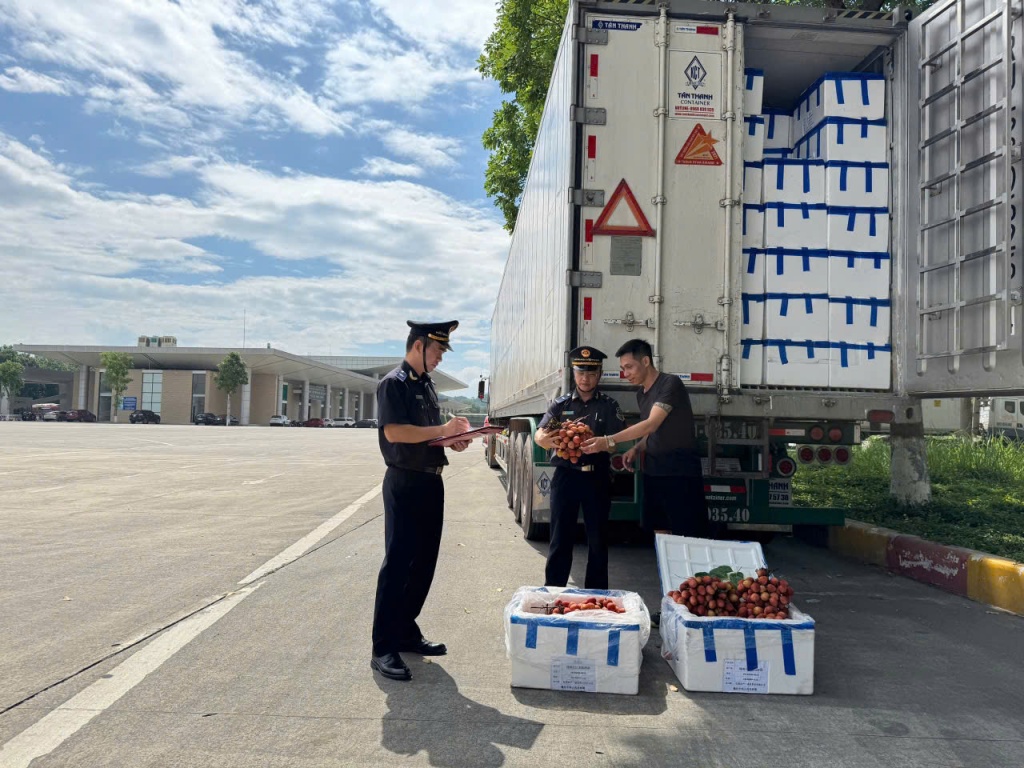 Hải quan cửa khẩu Lào Cai thông quan gần 18.000 tấn vải thiều xuất khẩu