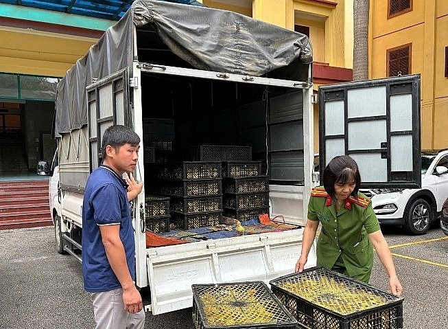 Lực lượng chức năng kiểm đếm tang vật.