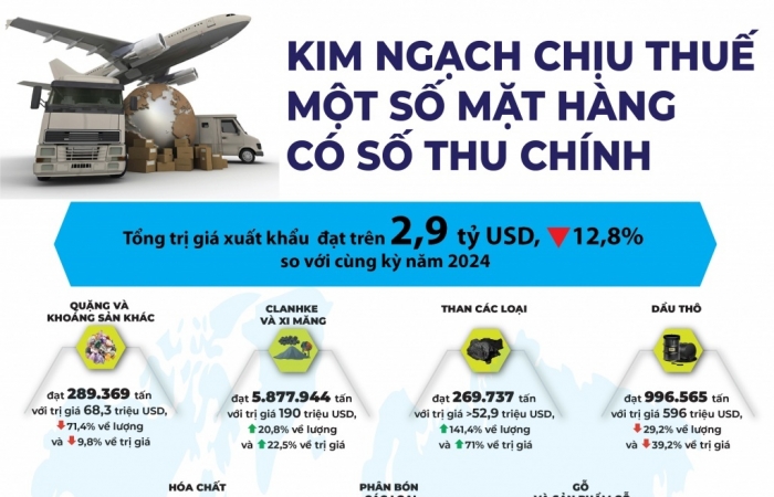 (INFOGRAPHICS): Kim ngạch chịu thuế một số mặt hàng có số thu chính