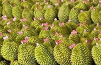 Trung Quốc không còn là “bệ đỡ” xuất khẩu rau quả Việt?