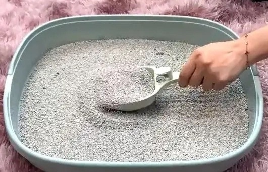 Thuế giá trị gia tăng cát vệ sinh cho mèo