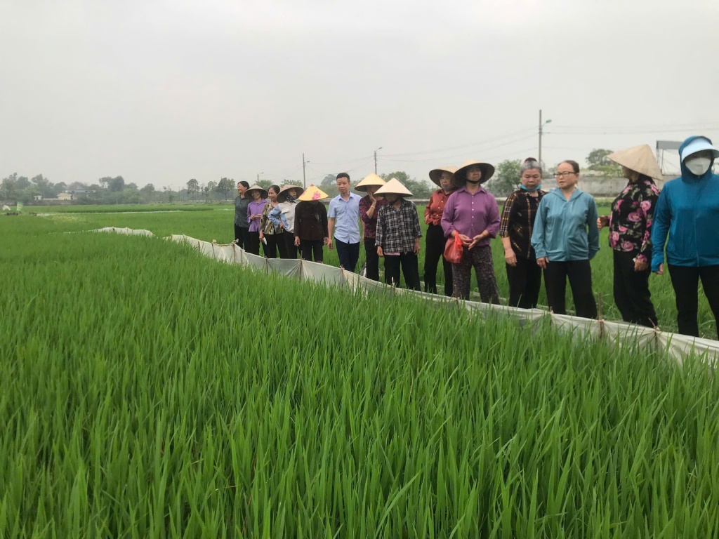 Có thể ủy quyền cho UBND xã quyết định miễn, giảm thuế sử dụng đất nông nghiệp