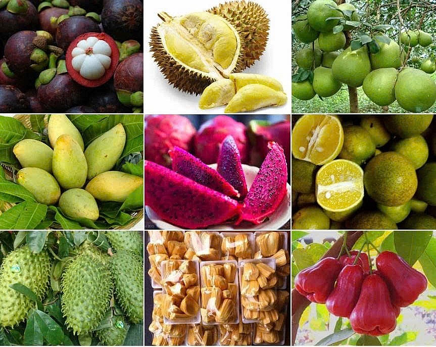 “Cửa sáng” cho nông sản Việt vào Nhật