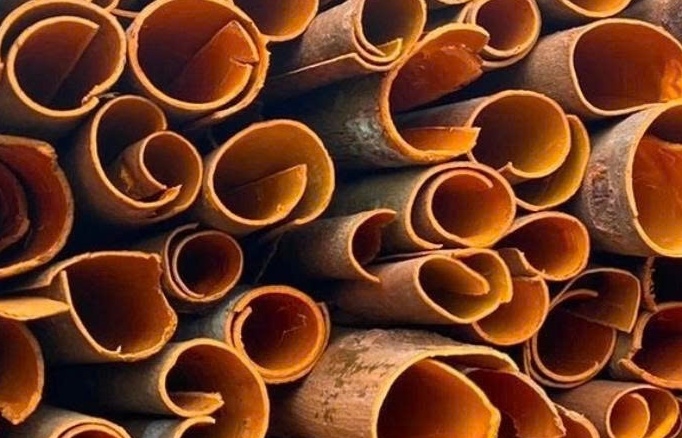 Quế Việt Nam trở thành “vàng nâu” triệu đô toàn cầu