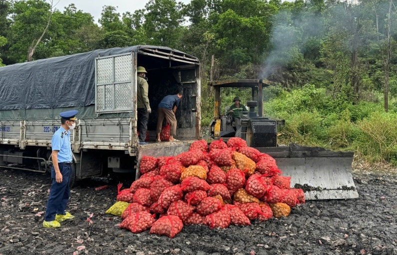 Chặn đứng 2 ô tô chở gần 17 tấn ngao không rõ nguồn gốc