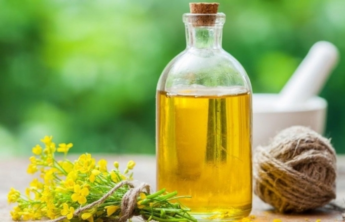 Khô dầu hạt cải là mặt hàng nhập khẩu có điều kiện