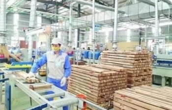 65 tỷ USD: Mục tiêu lớn trên hành trình bền bỉ của nông nghiệp Việt Nam
