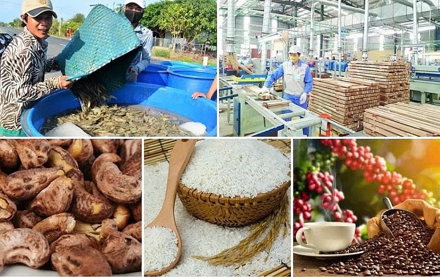 65 tỷ USD: Mục tiêu lớn trên hành trình bền bỉ của nông nghiệp Việt Nam